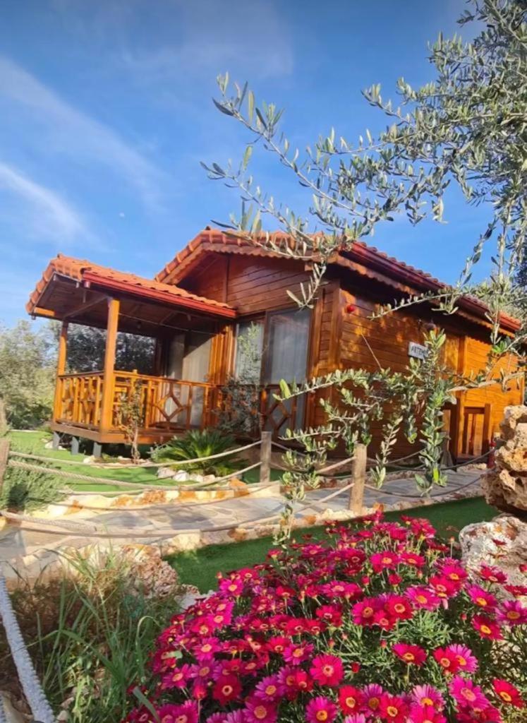 Doganin Ruhu Hotel & Bungalow Kas Exterior photo