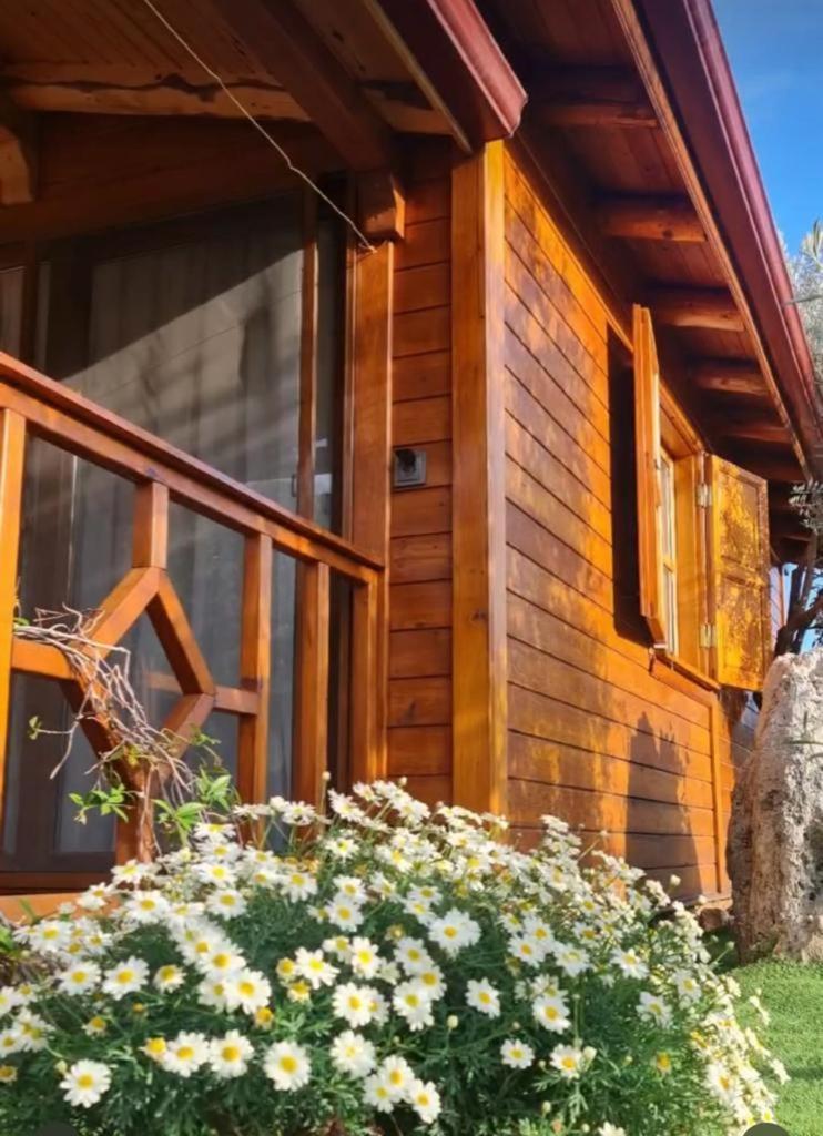 Doganin Ruhu Hotel & Bungalow Kas Exterior photo